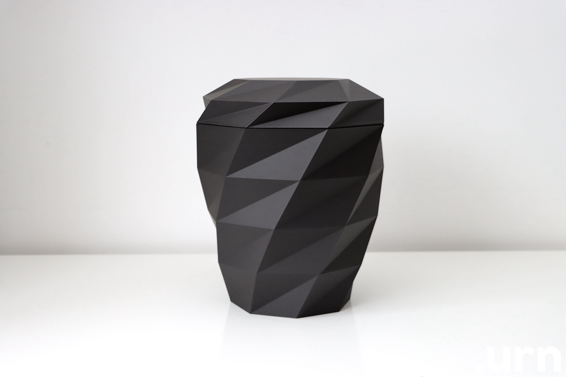 Biourn Polygon must 0155.JPG