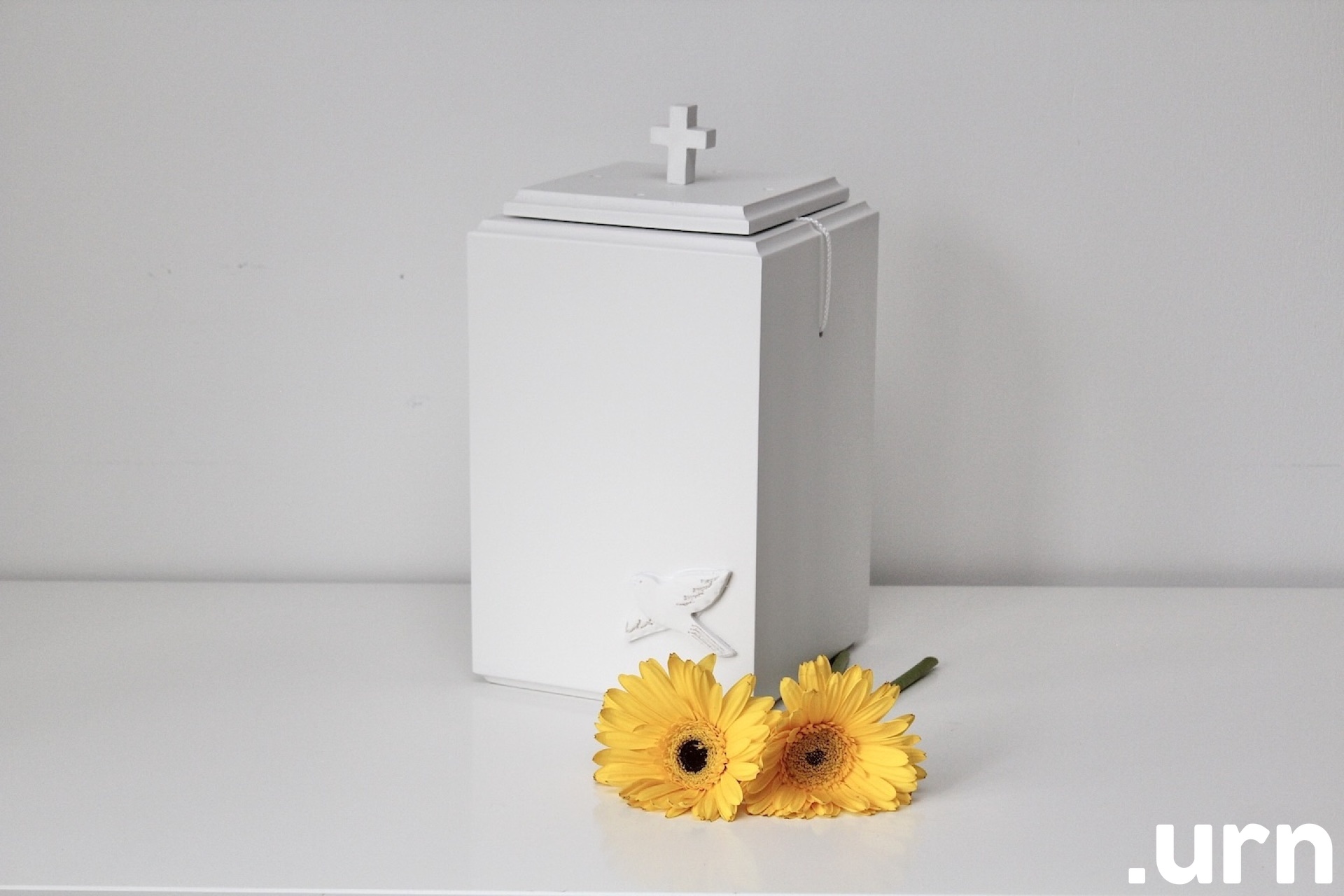 0030 männipuust tuhaurn.JPG