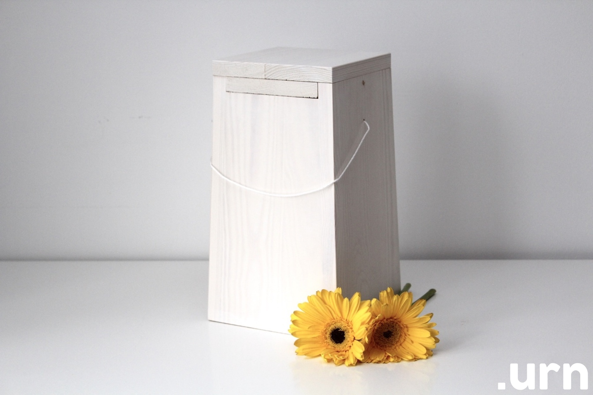 0050 männipuidust valge tuhaurn.JPG