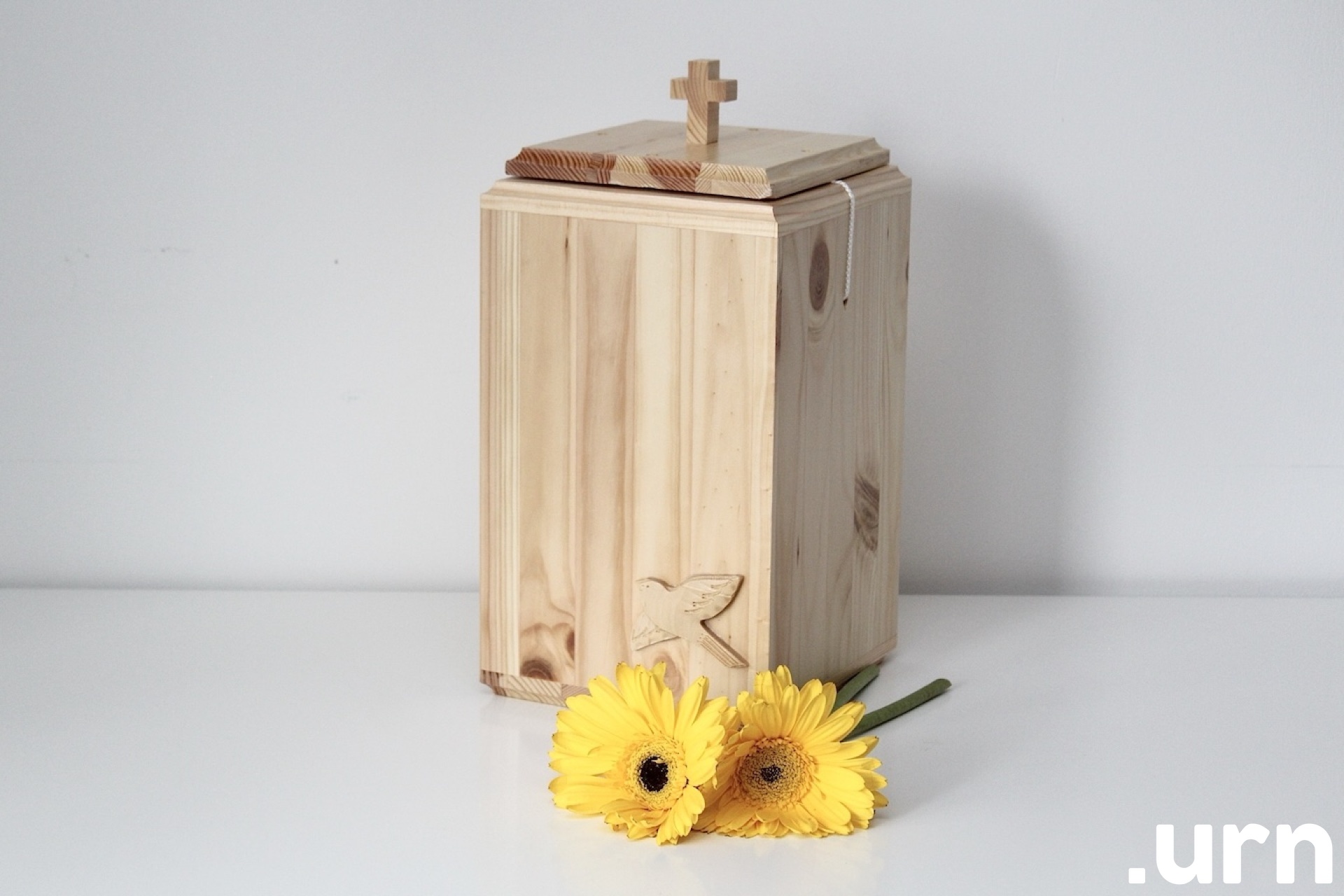 Männipuidust Urn Naturaalne Lind 0029 .JPG