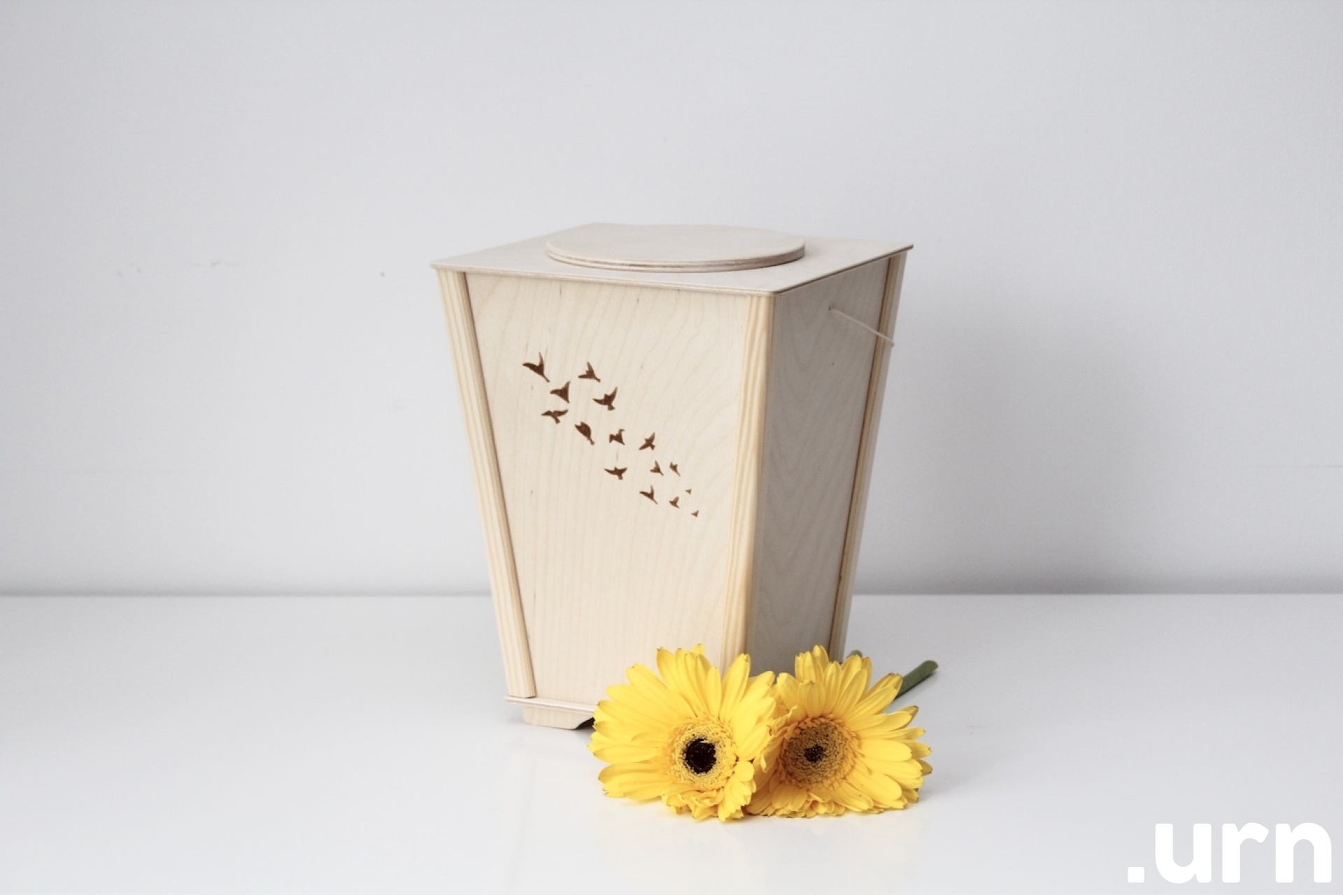 linnud vineeriurn 0040.JPG