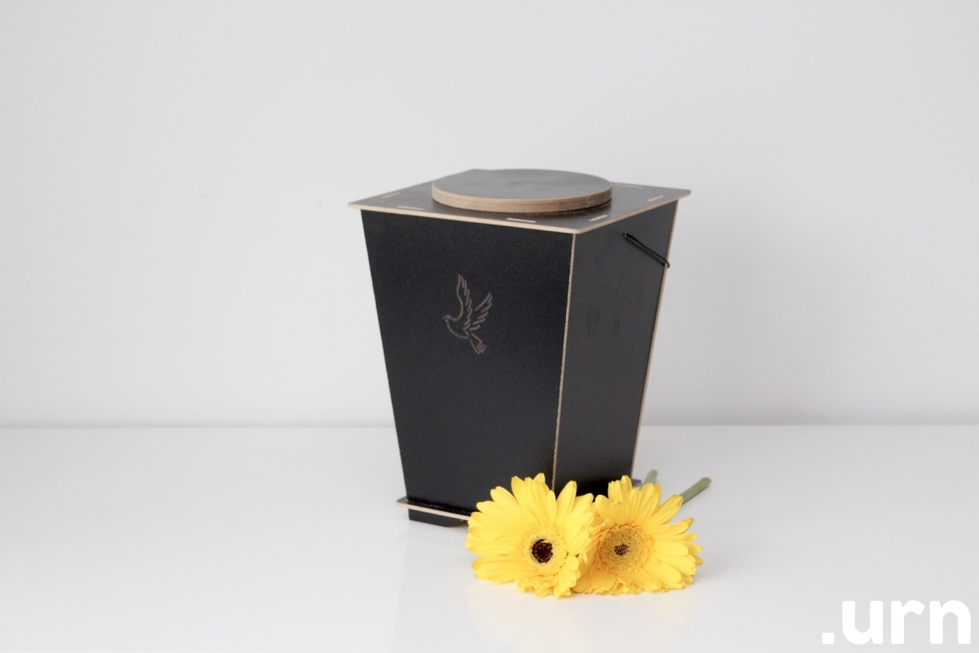 naturaalne must lind.JPG