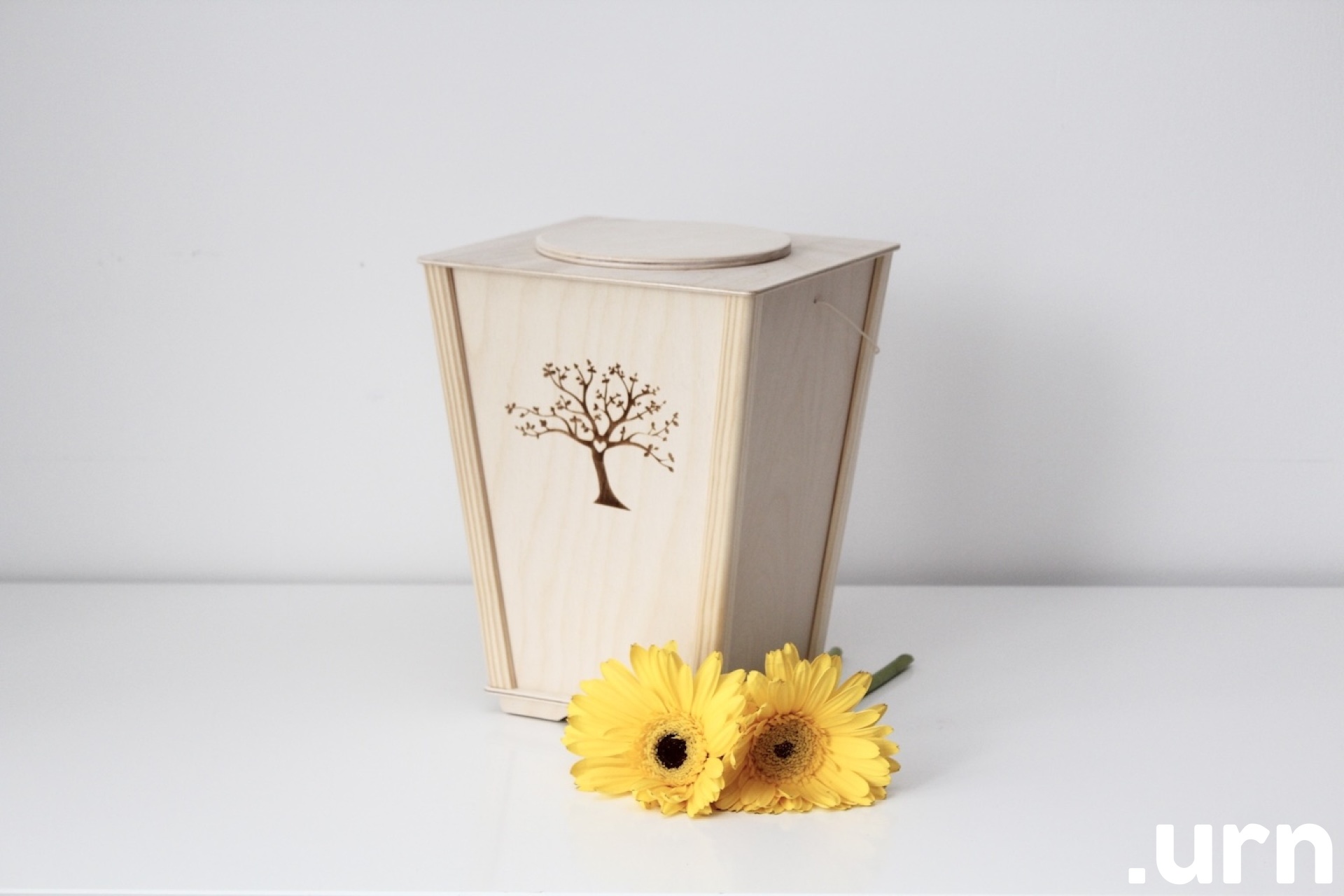 südamepuu vineeriurn .JPG