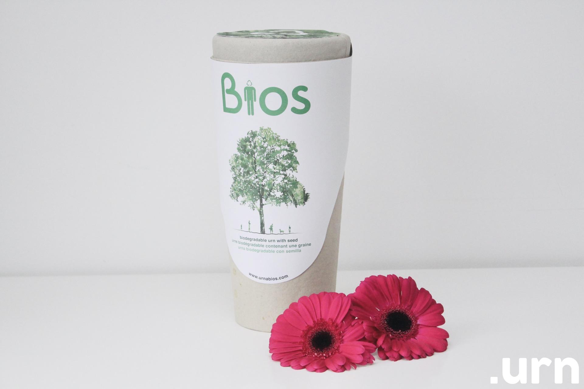 Bios urn ilma seemneta 0080