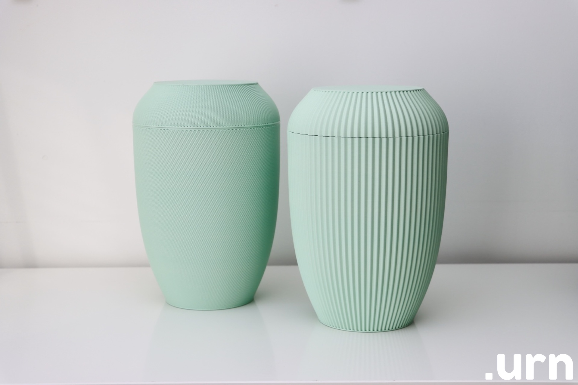  Pistaatsia Roheline Biourn Fookus 0173