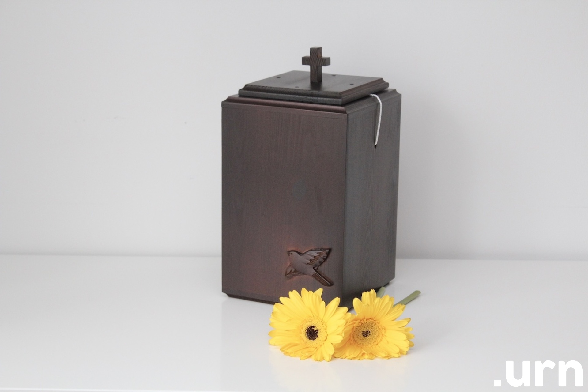 Männipuidust Urn Tumepruun Lind 0031
