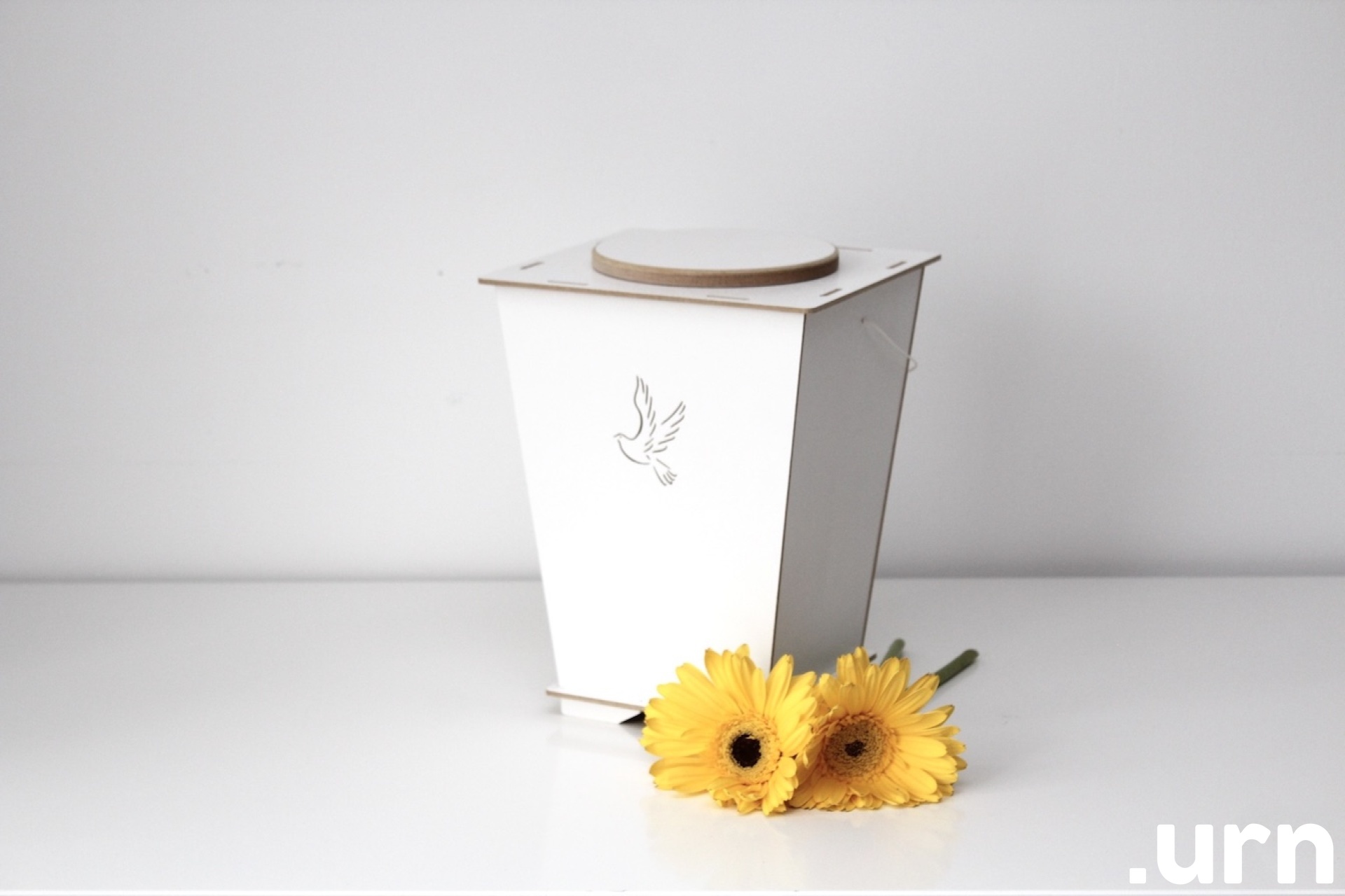 Naturaalne valge Lind 002