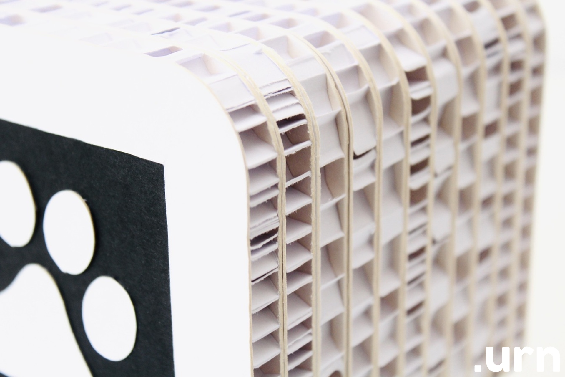 lemmiklooma urn apollo 4.JPG