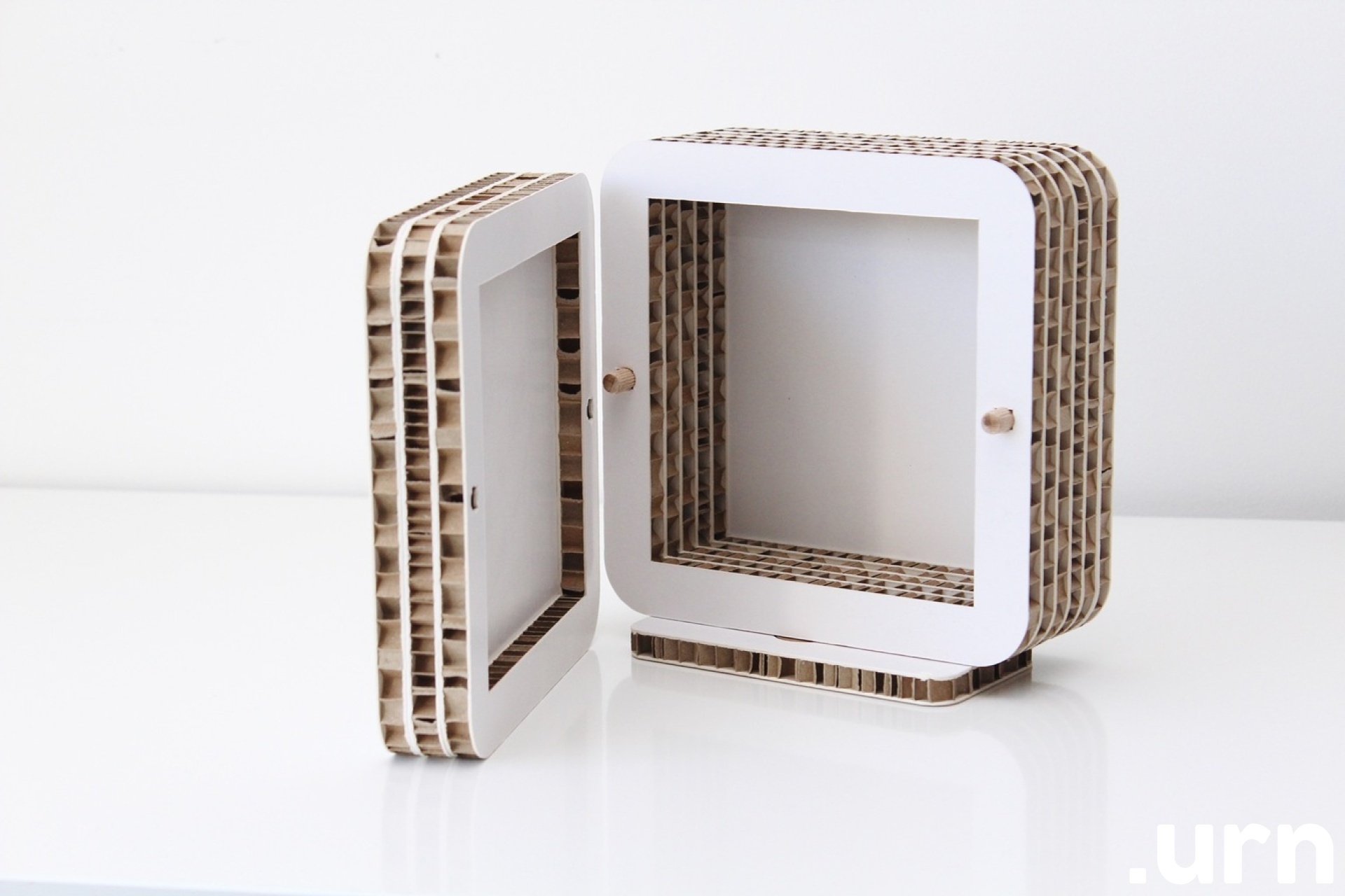 Lemmikooma urn Janus 2.JPG