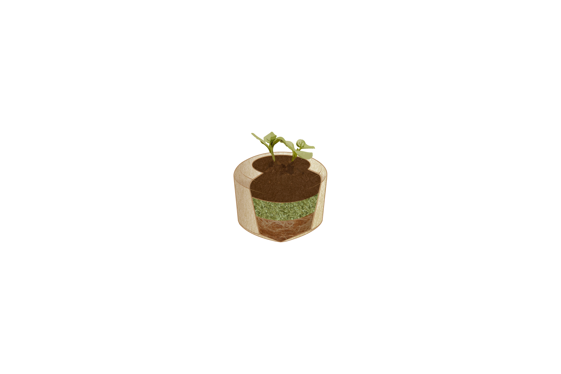 bios top 2.png